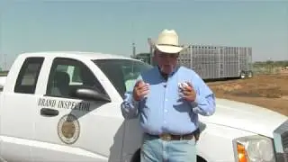 Cattle Rustling