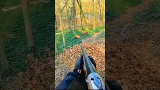 Так близко и всё же мимо #wildboarhunt #missedshot