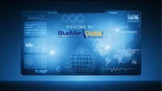 Charlotte SEO Company | 704-343-8700 | Local Business SEO Services