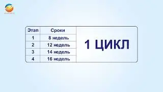 Маркетинг план Happiness💯
