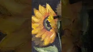My love for sunflowers