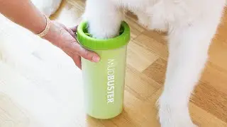 Dexas | MudBuster&reg; Silicone Dog Paw Cleaner