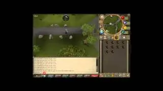 RuneScape Mining Guide