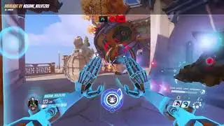 Go Rein! Nvm, Echo Got It._.*