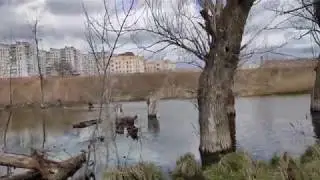 4K видео Realmi XT дневная съёмка 10х zoom.