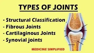 Types of Joints | Classification of joints | Joints Anatomy