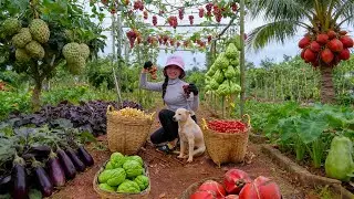 Harvest, Sell, And Cook With Grapes, Custard Apple, Eggplant, Red Coconut Chayote &ndash; Farm Life
