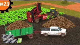 Как Вырастить Свеклу: Шаг за Шагом | Fs 18 Farming Simulator 18. #23