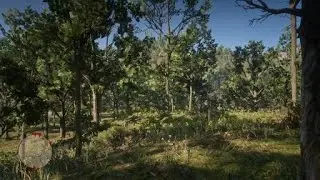 RDR2 Sparrows Egg Orchid--Wait, hold on a second and let me look at it, stupid game!