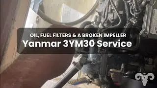 Замена масла, топливных фильтров и сломанной крыльчатки на двигателе Yanmar 3YM30 (эпизод 52) | S...