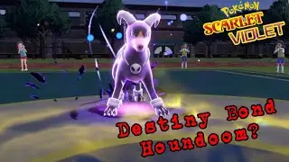 Houndoom Sacrifice's Itself For A Win  - Pokemon Scarlet/Violet Wifi Battles