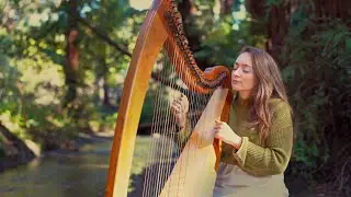 Healing Harp by the Redwood Brook (1 Hour) | Sarah Bhalla