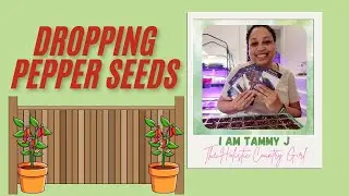 Planting a Variety of Pepper Seeds from Baker Creek & The Okra Lady 🌶️ | Garden with Me!
