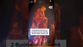 2 Buddhist Monks hit by pickup truck during peace walk, police say