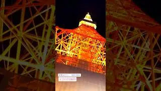 Tokyo Tower 🗼😍 #tokyo #tokyotower #japan #shorts