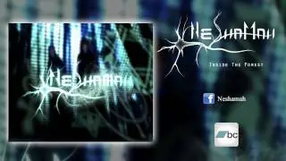 Neshamah - Inside The Forest (New Song 2012) [HQ]