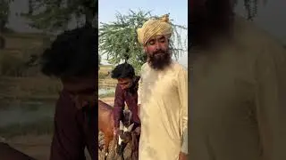 numberdar byiman hogya😅🤣😂😇