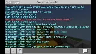 Minecraft bee swarm 