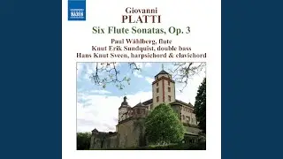 Flute Sonata in G Major, Op. 3, No. 2: I. Grave