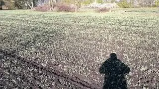 Конная севалка#8