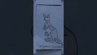 Kangaroo and their scientific name 🦘||Arts🎨 #shorts #shortfeed #viral