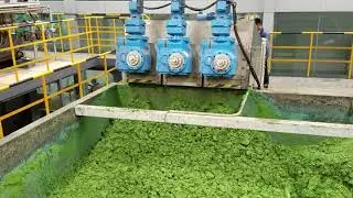 Algae Bloom Harvesting - Dewatering