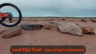Lauf Elja Trail Mountain Bike -Race Flight Attendant Build - Summary Review