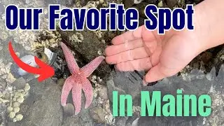 Best RV Park in Maine| RVing in Maine | Fulltime RV Family | Ep 40