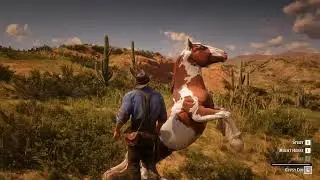 Arthur Morgan Tames Rarest Gypsy Cob Horse at Armadillo