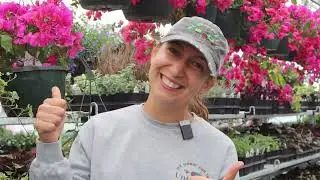 Untiedt's Spring Interview with Mariana at Mackenthun's