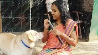 🔥2026 ஆரம்பமே படுபயங்கரமா இருக்கு இனி அவ்வளவு தான்💥 #vlog #funnyvideo #family #dog #funnypet #comedy
