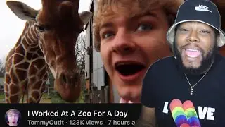 Tommy Worked At A Zoo For A Day ft. Philza & Kristen | Joey Sings Reacts