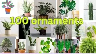 Unlock the Mystery: 100 Ornament Names in English #plants