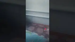 спокойной ночи ❤