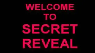 DarkStar One: Broken alliance secret system