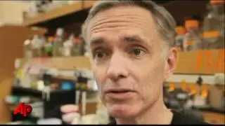 Scientists Learning How to Program Cells