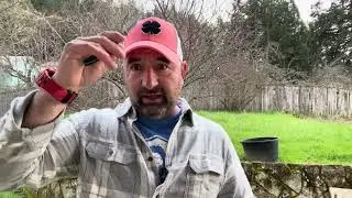 Straight edge vs serrated knives