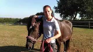 Kissing Spines (3) - Körper und Seele im Einklang