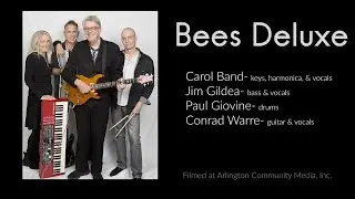Bees Deluxe