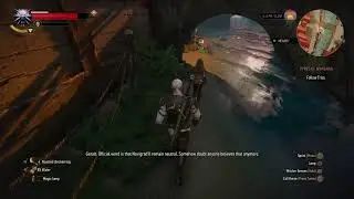 The Witcher 3 - Wild Hunt GOTY Edition Playthrough (28-10-2025)