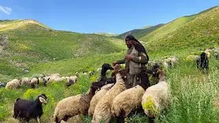 Le Le Dotmam - Dengbej Osman 💐 KÜRTÇE UZUN HAVA DENGBEJİ KLİP