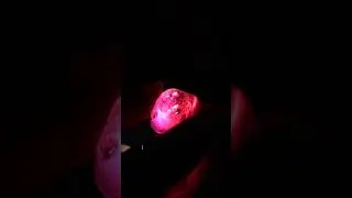 Как эксперты защищают рубин стоимостью 34,8 миллиона долларов во время транспортировки и погрузки...