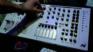 Analogue Solutions Ample Synthesizer Arps via MIDI