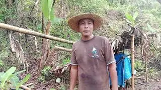 FOREST RANGER