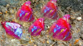Miraculous discovery, the boy dug out a rare crystal gem