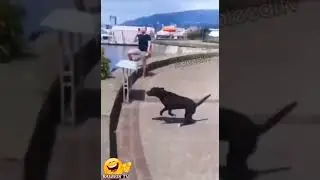 surprise love 🤣 funny comedy short hilarious laugh