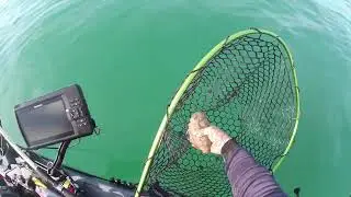Finalmente si esce a seppie con il mio nuovo Triken 380 😍 #eging #kayak #fishing #kayakfishing