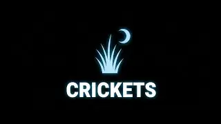 Campfire Night Crickets Nature Ambience Black Screen