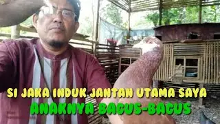 CAKAP SI JAKA 