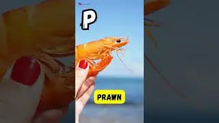 Ocean Melodies ABC | Sea Animals Alphabet Song for Kids | Learn A to Z in 60s | UZR Learning #shorts
